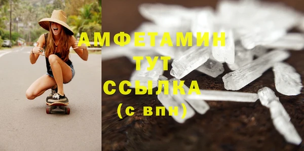 стафф Осинники