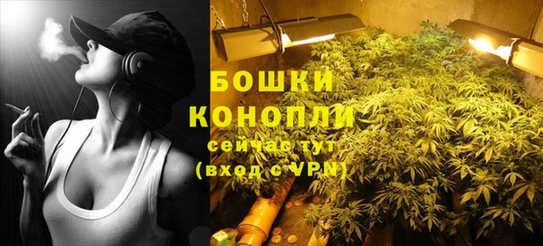 спайс Няндома