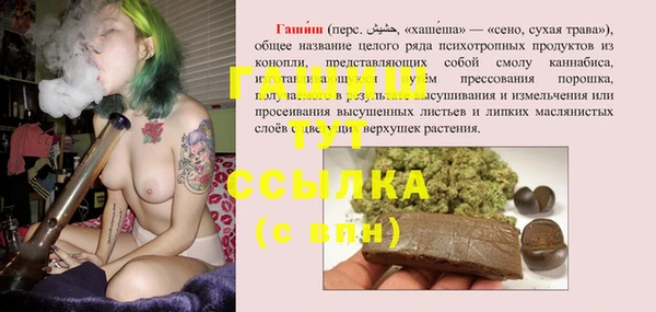 шишки Магас