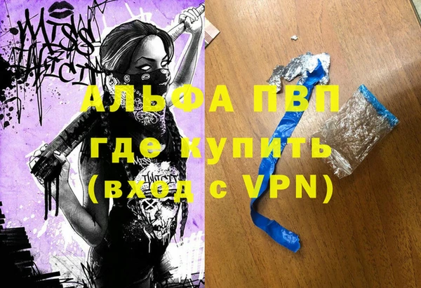 спайс Няндома