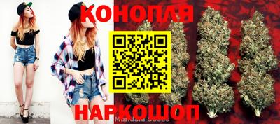 ПСИЛОЦИБИНОВЫЕ ГРИБЫ Аргун