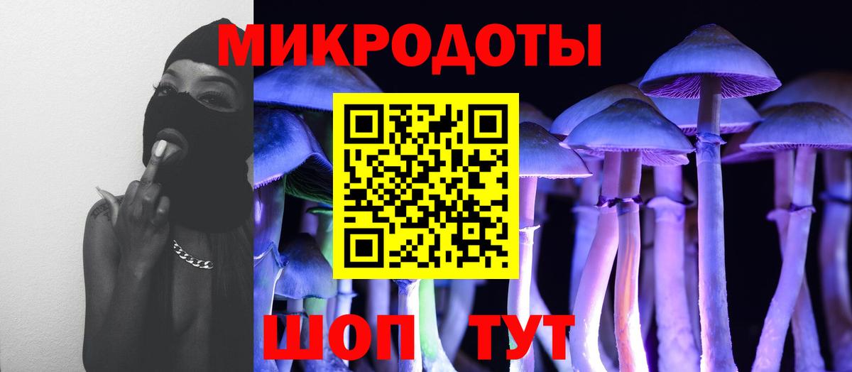 Галлюциногенные грибы Magic Shrooms  Вход с VPN  где купить наркоту  Кудрово 